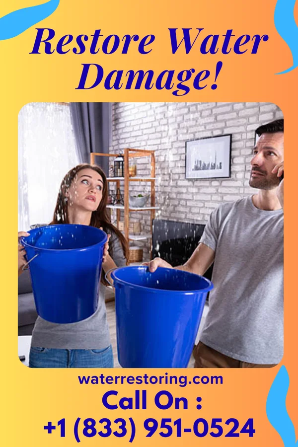 water restoration Ultimate Water Removal Brothers El Cerro