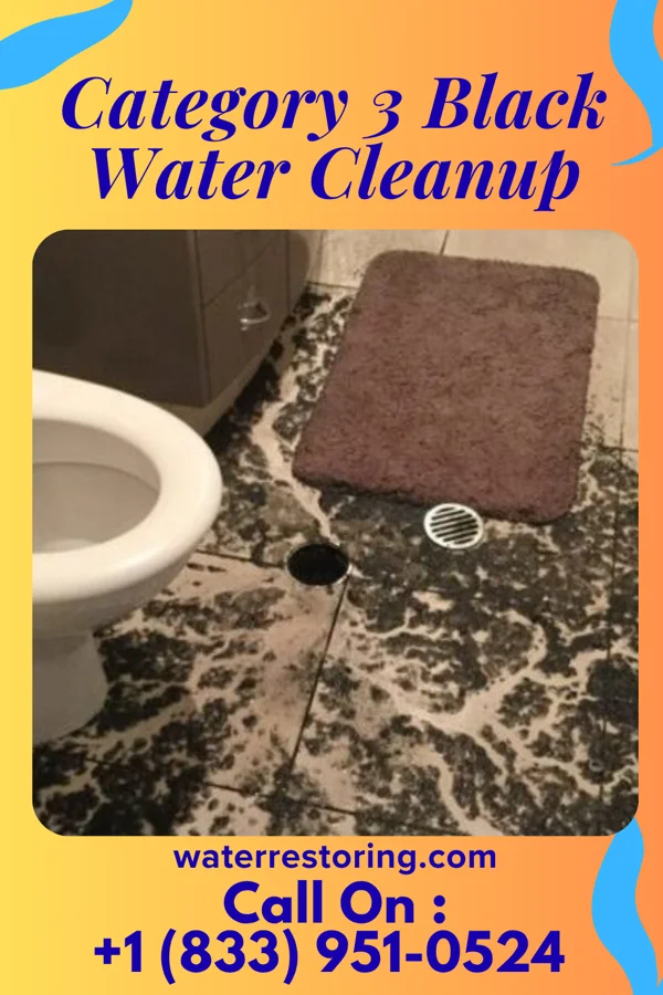 Category 3 Black Water Cleanup in El Cerro, NM