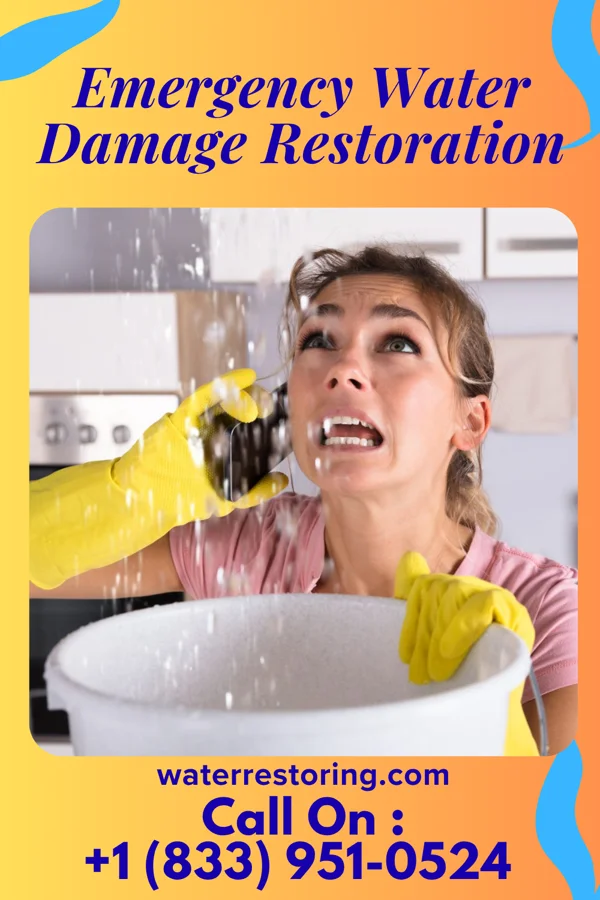 Emergency Water Damage Restoration in El Cerro, NM