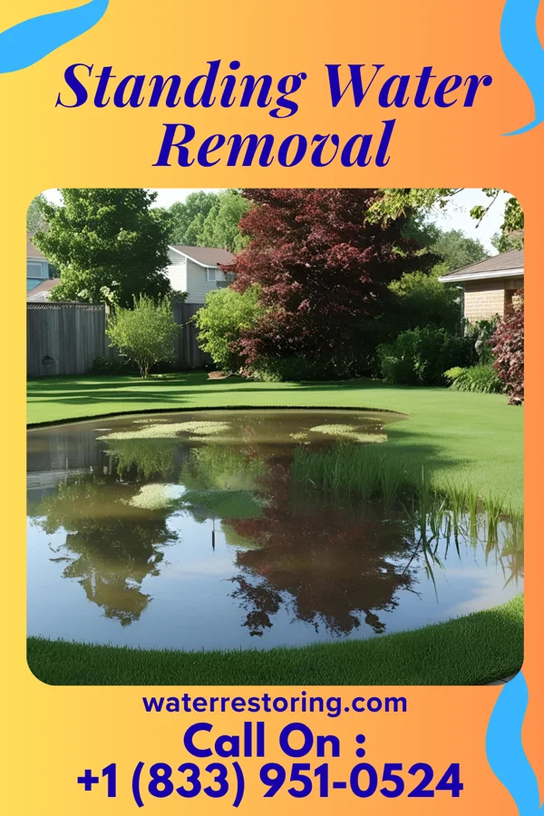 Standing Water Removal in El Cerro, NM